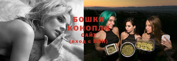 ешки Аркадак