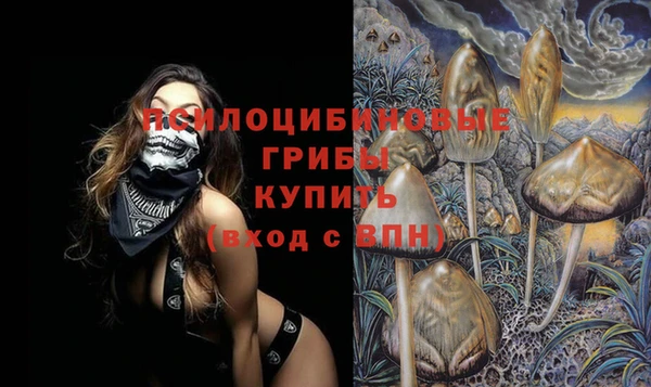 ешки Аркадак