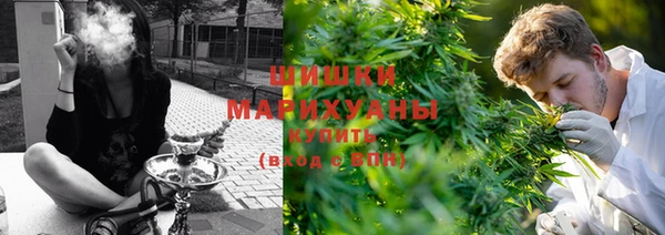 ешки Аркадак
