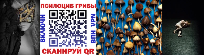 Псилоцибиновые грибы Cubensis Багратионовск